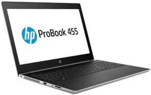 Ноутбук Hewlett-Packard ProBook 455 G5 1LQ75AV_V3 Silver