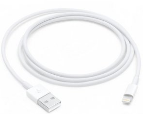Apple USB / Lightning 1m White