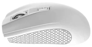Фото: Миша Canyon CNE-CMSW07W White № 5 | KTC