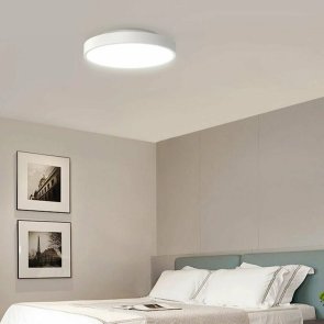 Світильник Yeelight Ceiling Light 320mm (YLXD76YL)