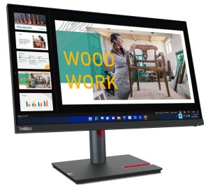 Монітор Lenovo ThinkVision P24q-30 Raven Black (63B4GAT6UA)