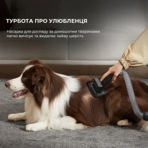 Фото: Ручний бездротовий пилосос Dreame Z30 Animal (VZV17A) № 9 | KTC