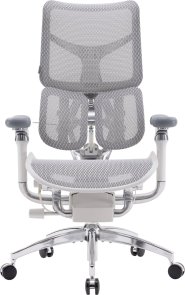 Крісло SIHOO Doro S300 Light Grey (S300-M202)