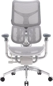 Фото: Крісло SIHOO Doro S300 Light Grey (S300-M202) № 2 | KTC