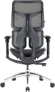 Крісло SIHOO Doro S100 Black (S100-M301)