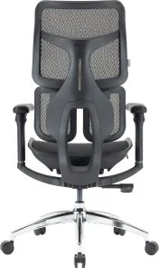 Фото: Крісло SIHOO Doro S100 Black (S100-M301) № 5 | KTC