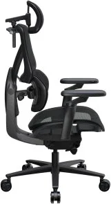 Фото: Крісло TX3 Flex Pro Mesh Black (TEGC-3076101.12) № 6 | KTC