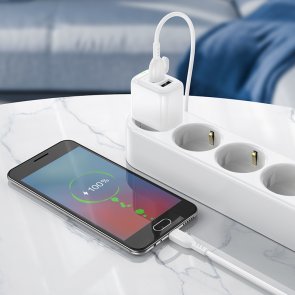 Зарядний пристрій BOROFONE BAS41A Potential 2A White with AM/MicroUSB (6941991113765)