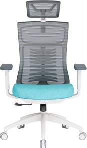 Крісло OfficePro Balance OC550-W-DG-BL White/Dark Gray/Blue