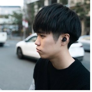 Гарнітура вакуумна Final Audio ZE3000 SV TWS Bluetooth v 5.3, Black