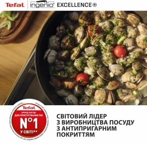 Фото: Набір сковорідок Tefal Ingenio Excellence+ 24cm/ 28cm 3pcs (P0009553) № 14 | KTC