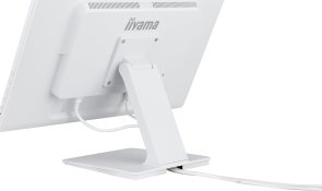 Монітор iiyama ProLite T2452MSC-W2AG - 24