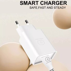 Зарядний пристрій WUW T82 White with AM / MicroUSB (6972573336388)