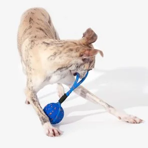 Фото: Інтерактивна електромеханічна іграшка Cheerble Wicked Ball Air Rope Royal Blue (CWQ03B) № 5 | KTC