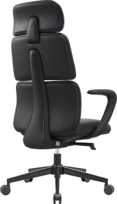 Фото: Крісло OfficePro Delicate OC690BK Black № 4 | KTC