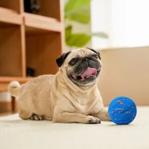 Фото: Інтерактивний розумний м'яч для собак Cheerble Wicked Ball Air Neo Royal Blue (CWQ09B) № 6 | KTC