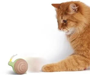 Фото: Інтерактивна розумна іграшка-равлик для котів Cheerble Wicked Snail Green (CWJ02G) № 7 | KTC