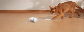 Фото: Інтерактивна розумна іграшка-мишка для котів Cheerble Wicked Mouse Blue (CWJ03B) № 15 | KTC