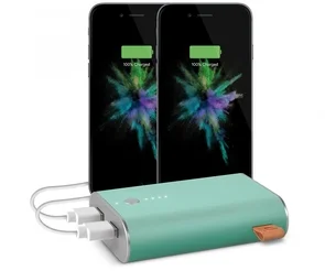 Фото: Батарея універсальна Fresh 'N Rebel 9000mAh Peppermint (2PB3000PT) № 4 | KTC