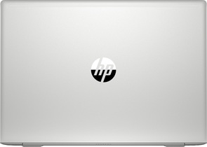 Ноутбук HP ProBook 455 G6 5XH26AV_V2 Silver