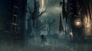Фото: Гра Bloodborne PS4 Blu-ray № 14 | KTC
