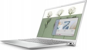 Ноутбук Dell Inspiron 5501 I55716S3NDW-77S Silver