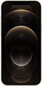 Фото: Смартфон Apple iPhone 12 Pro Max 256GB Gold (MGDE3) № 2 | KTC