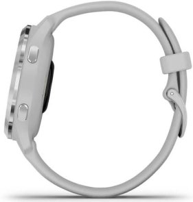 Смарт годинник Garmin Venu 2S Silver/Gray and Gray Silicone Band (010-02429-12)