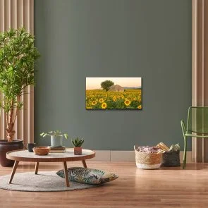 Фото: Телевізор LED Thomson 32HA2S13 (Android TV, Wi-Fi, 1366x768) № 5 | KTC