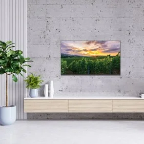 Фото: Телевізор QLED Thomson 43QA2S13 (Android TV, Wi-Fi, 3840x2160) № 4 | KTC