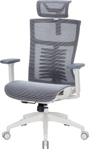 Крісло OfficePro Balance OC620 White/Dark Gray (OC620-W-DG-DG)