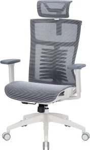 Фото: Крісло OfficePro Balance OC620 White/Dark Gray (OC620-W-DG-DG) № 3 | KTC
