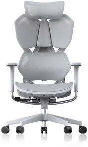 Фото: Крісло SIHOO X5C (X5FC-N101) № 3 | KTC
