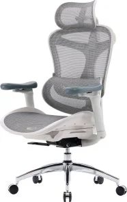 Фото: Крісло SIHOO Doro C300L White (DORO-C300L-A3-102) № 2 | KTC