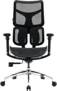 Крісло SIHOO Doro S100 Black (S100-M301)
