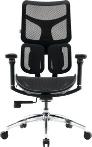 Фото: Крісло SIHOO Doro S100 Black (S100-M301) № 2 | KTC