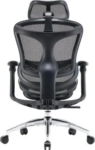 Фото: Крісло SIHOO Doro C300L Black (DORO-C300L-A3-101) № 3 | KTC