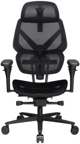 Фото: Крісло TX3 Flex Pro Mesh Black (TEGC-3076101.12) № 2 | KTC