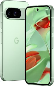 Смартфон Google Pixel 9 12/128GB Wintergreen