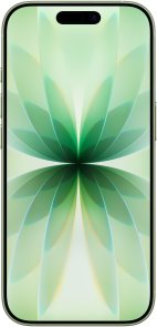 Смартфон Apple iPhone 17 256GB Sage (MG6N4)