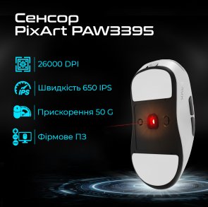 Миша RAWM ES21 (6973487190363)