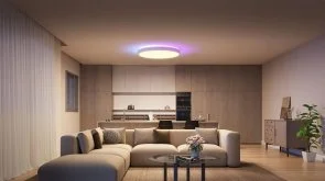 Фото: Світильник Govee 38cm Smart Ceiling Light Pro RGBICWW WI-FI/Bluetooth White (H60A6C01) № 5 | KTC