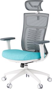 Крісло OfficePro Balance OC550-W-DG-BL White/Dark Gray/Blue