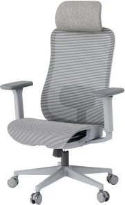 Фото: Крісло OfficePro Wave OC670 Gray (OC670-G-G-G) № 3 | KTC