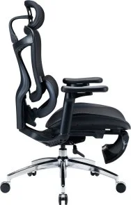 Фото: Крісло SIHOO Doro C300L with Footrest Black (DORO-C300L-A3-101-JT) № 4 | KTC
