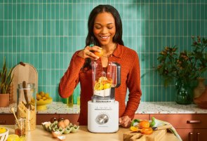 Блендер KitchenAid Pure Power 5KSB2073 Porcelain White (5KSB2073EPL)