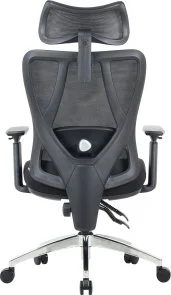 Фото: Крісло OfficePro Aero OC490B Black № 6 | KTC