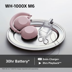 Навушники Sony WH-1000XM6 Pink (WH1000XM6P.E)
