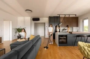 Фото: Ручний бездротовий пилосос Gorenje SVC259441NFGO № 16 | KTC