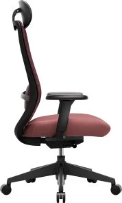 Фото: Крісло OfficePro Omnis OC640R Burgundy № 4 | KTC
